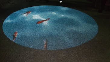 姫路城（イベント）に投稿された画像（2023/12/4）