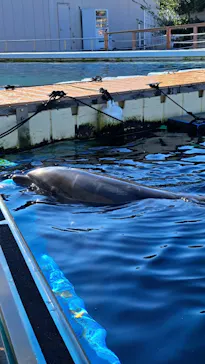 横浜・八景島シーパラダイスに投稿された画像（2023/12/4）