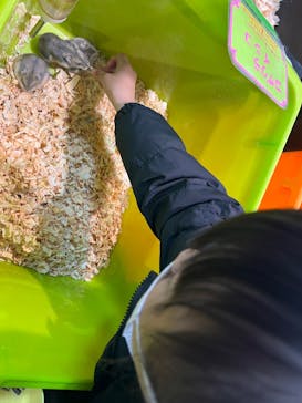 いきもの探検隊上尾に投稿された画像（2023/12/4）