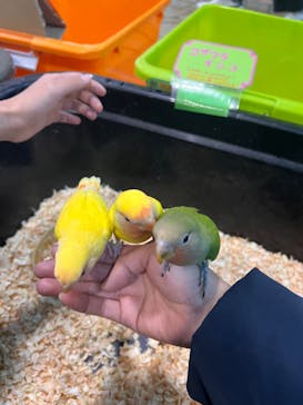 いきもの探検隊上尾に投稿された画像（2023/12/4）