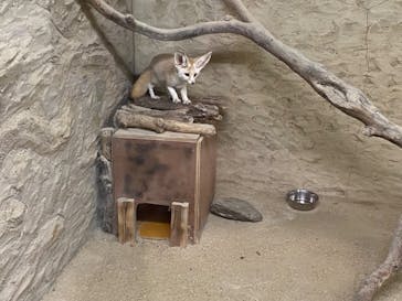 長崎バイオパークに投稿された画像（2023/12/4）