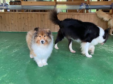 長崎バイオパークに投稿された画像（2023/12/4）