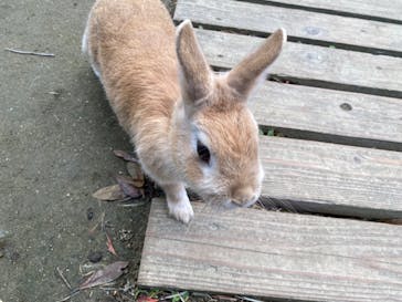 長崎バイオパークに投稿された画像（2023/12/4）