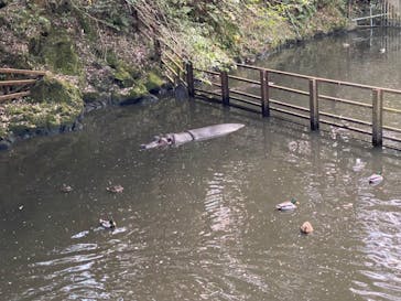 長崎バイオパークに投稿された画像（2023/12/4）