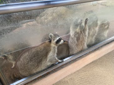 長崎バイオパークに投稿された画像（2023/12/4）