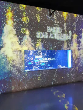 マクセル アクアパーク品川に投稿された画像（2023/12/4）