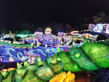 伊豆ぐらんぱる公園に投稿された画像（2023/12/4）