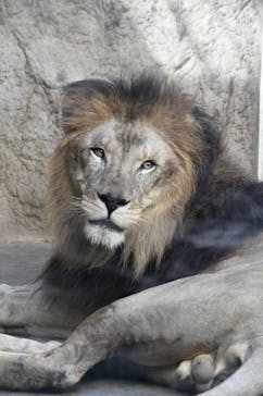 日立市かみね動物園に投稿された画像（2023/12/4）