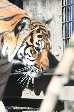 日立市かみね動物園に投稿された画像（2023/12/4）