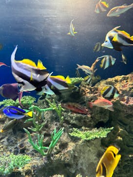 マリンワールド海の中道に投稿された画像（2023/12/4）