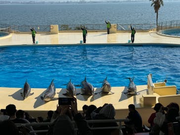 マリンワールド海の中道に投稿された画像（2023/12/4）