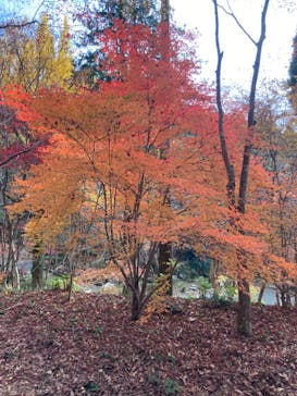 環境芸術の森に投稿された画像（2023/12/4）