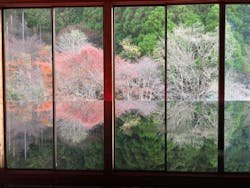 環境芸術の森に投稿された画像（2023/12/4）