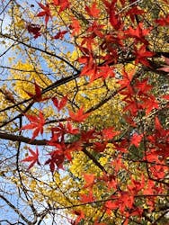 環境芸術の森に投稿された画像（2023/12/4）