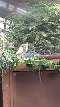 神戸どうぶつ王国に投稿された画像（2023/12/4）