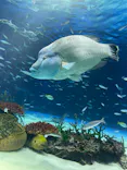 サンシャイン水族館に投稿された画像（2023/12/5）