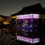 NAKEDヨルマイリ 2025-26 平安神宮に投稿された画像（2023/12/5）