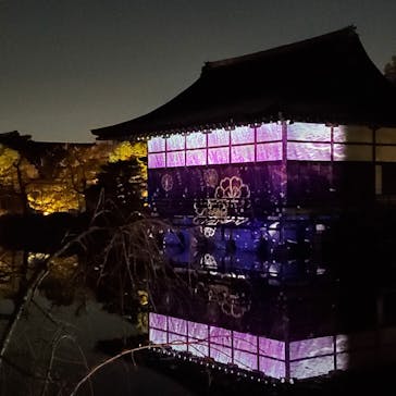 NAKEDヨルマイリ 2025-26 平安神宮に投稿された画像（2023/12/4）