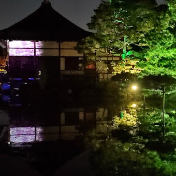 NAKEDヨルマイリ 2025-26 平安神宮に投稿された画像（2023/12/4）