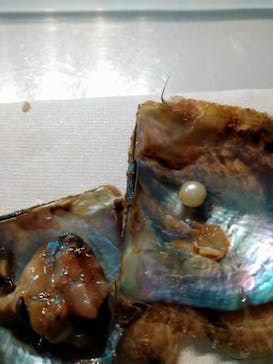 しながわ水族館に投稿された画像（2023/12/4）