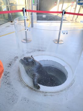 しながわ水族館に投稿された画像（2023/12/4）