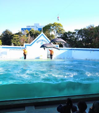 しながわ水族館に投稿された画像（2023/12/4）