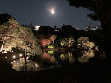 六義園に投稿された画像（2023/12/5）