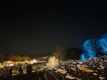 いばらきフラワーパークに投稿された画像（2023/12/5）