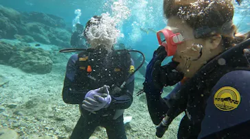 武藤潜水に投稿された画像（2023/12/5）