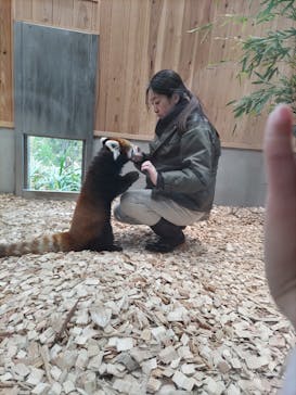 名古屋市東山動植物園に投稿された画像（2023/12/5）