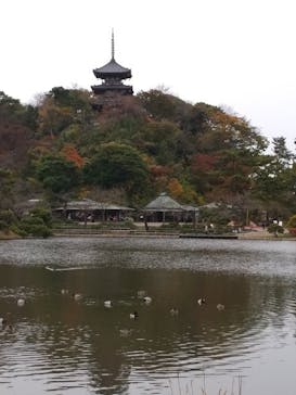 三溪園に投稿された画像（2023/12/5）