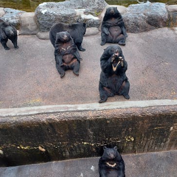 奥飛騨クマ牧場に投稿された画像（2023/12/5）