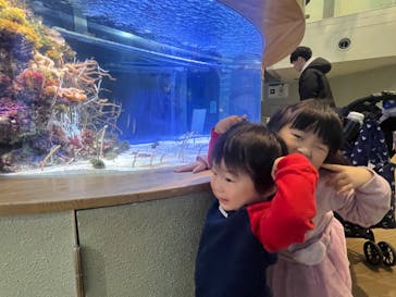 名古屋港水族館に投稿された画像（2023/12/5）