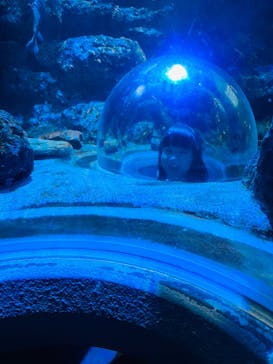 名古屋港水族館に投稿された画像（2023/12/5）