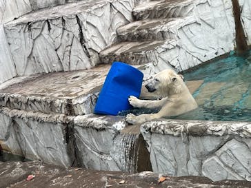 名古屋市東山動植物園に投稿された画像（2023/12/5）