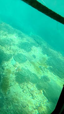 串本海中公園水族館に投稿された画像（2023/12/5）