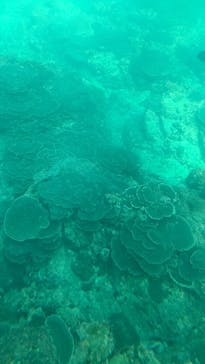 串本海中公園水族館に投稿された画像（2023/12/5）