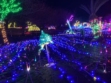 伊豆ぐらんぱる公園に投稿された画像（2023/12/5）