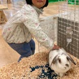 いきもの探検隊湘南に投稿された画像（2023/12/5）