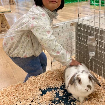 いきもの探検隊湘南に投稿された画像（2023/12/5）