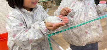 いきもの探検隊湘南に投稿された画像（2023/12/5）