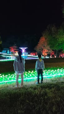 つま恋イルミネーションに投稿された画像（2023/12/5）