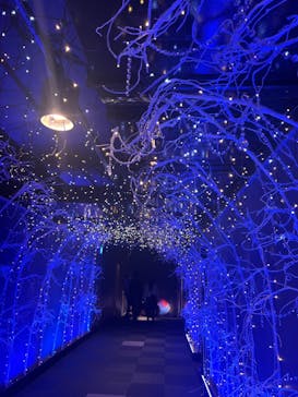 新江ノ島水族館に投稿された画像（2023/12/5）