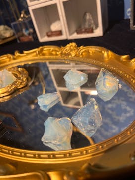 新江ノ島水族館に投稿された画像（2023/12/5）