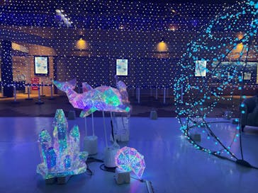 新江ノ島水族館に投稿された画像（2023/12/5）