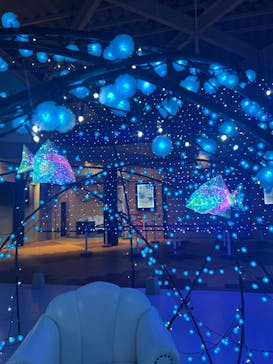 新江ノ島水族館に投稿された画像（2023/12/5）