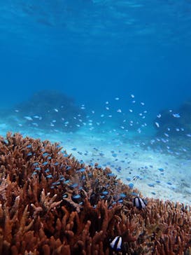 marine assist DEMI（マリンアシストデミ）に投稿された画像（2023/12/5）