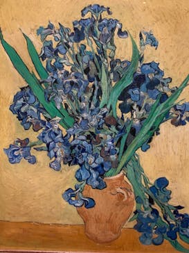 ゴッホと静物画　伝統から革新へ（SＯＭＰＯ美術館）に投稿された画像（2023/12/5）