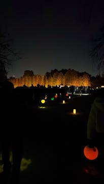 NAKED 紅葉の新宿御苑2023に投稿された画像（2023/12/5）