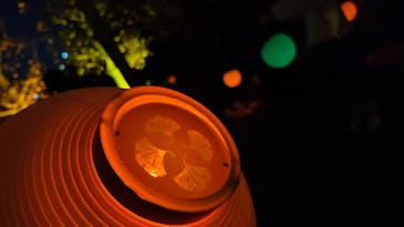 NAKED 紅葉の新宿御苑2023に投稿された画像（2023/12/5）